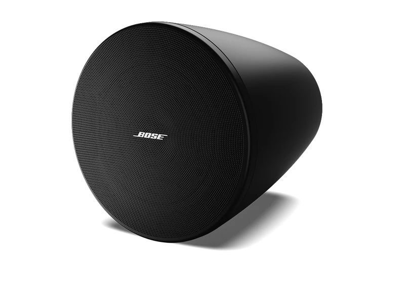 Bose Professional DesignMax DM5P — Black pair
