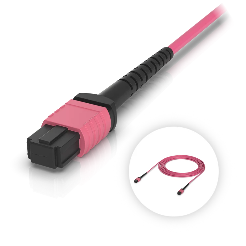 OM4 MPO-12 UPC Fiber Patch Cable — 5 m