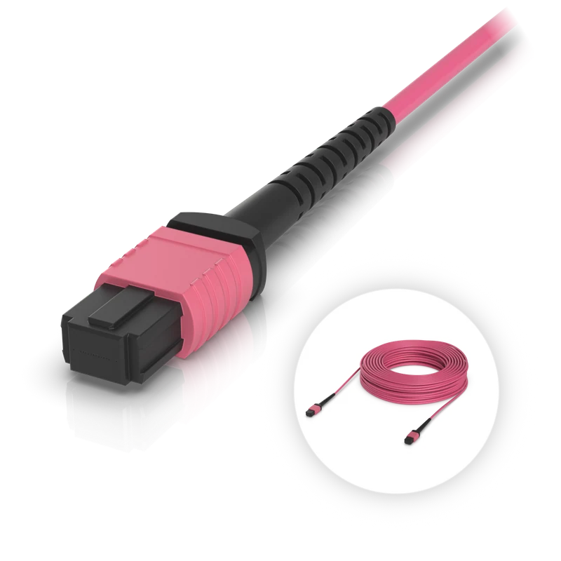 OM4 MPO-12 UPC Fiber Patch Cable — 30 m