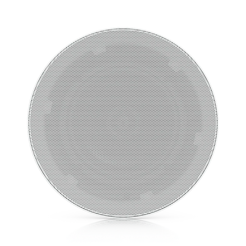 In-Ceiling Speaker